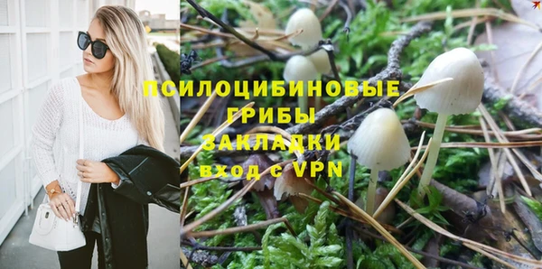 apvp Волосово