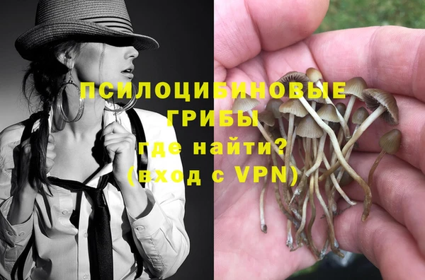 не бодяженный Волоколамск