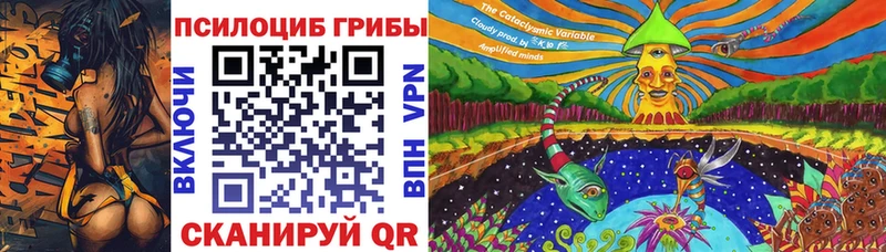Галлюциногенные грибы GOLDEN TEACHER Купить Валуйки